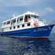 Tauchschiff Manta Queen 1