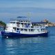 Tauchschiff Manta Queen 5